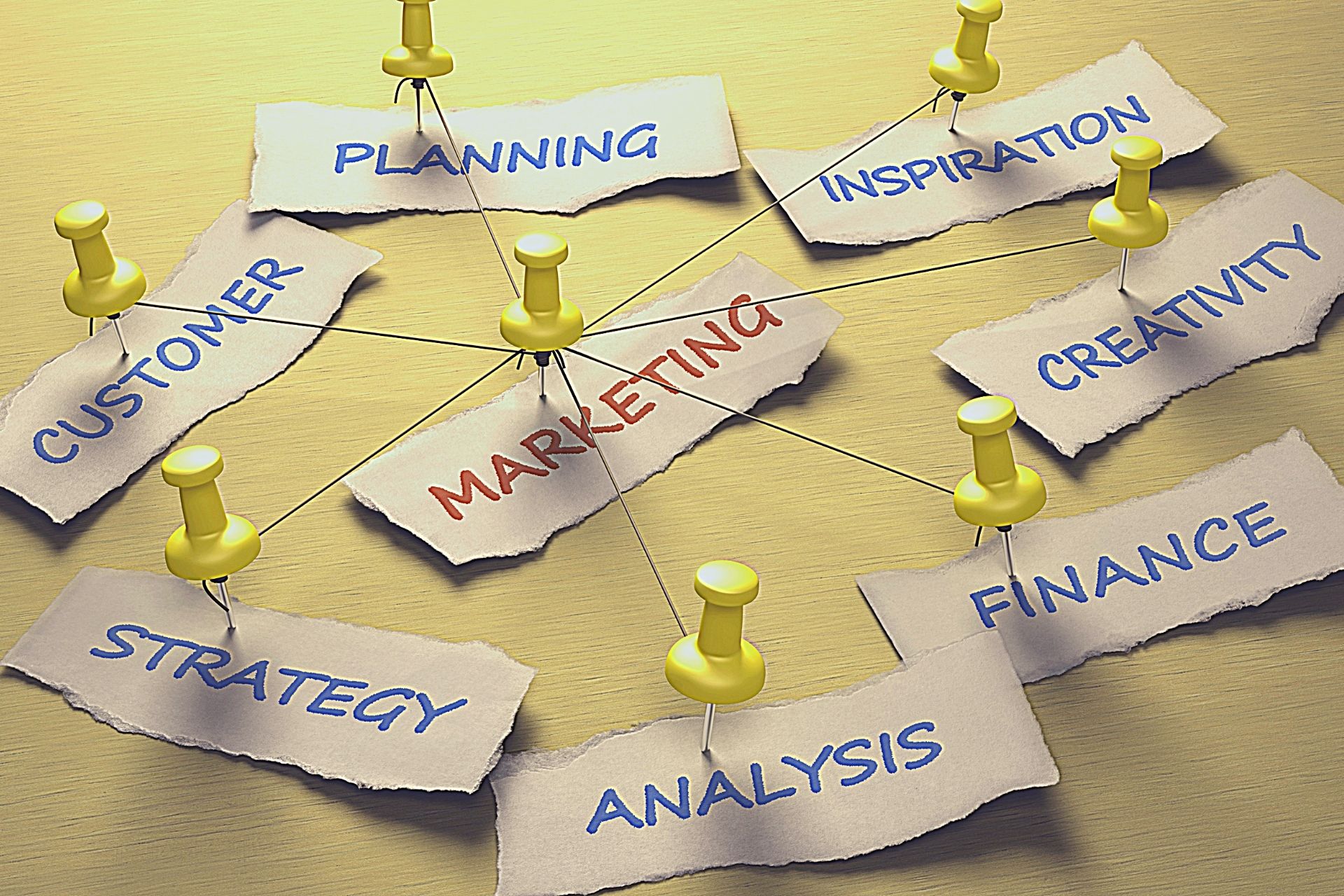 marketing plan components business plan